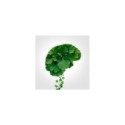 KENAY Ginkgo Biloba z Ginkgoselect Plus Indena ...