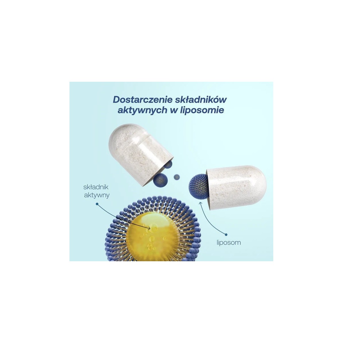 Liposomalna witamina D 4000 IU – LIPOCAPS D3 4000 ...