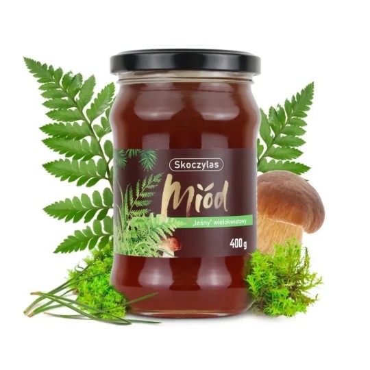 Skoczylas MIÓD "leśny" wielokwiatowy