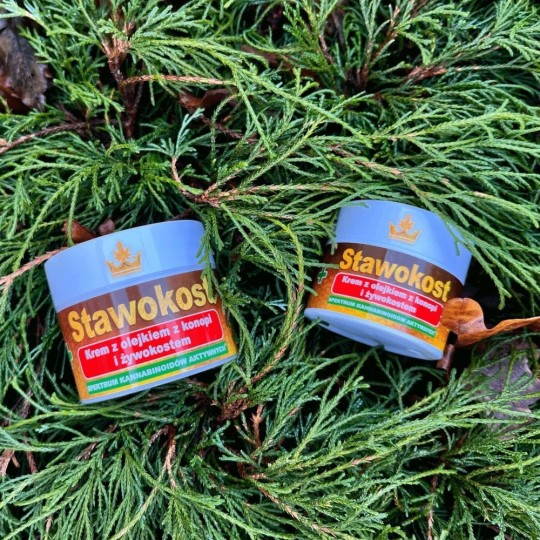 Asepta - Stawokost, krem z olejkiem z konopi i żywokostem, 5% ...