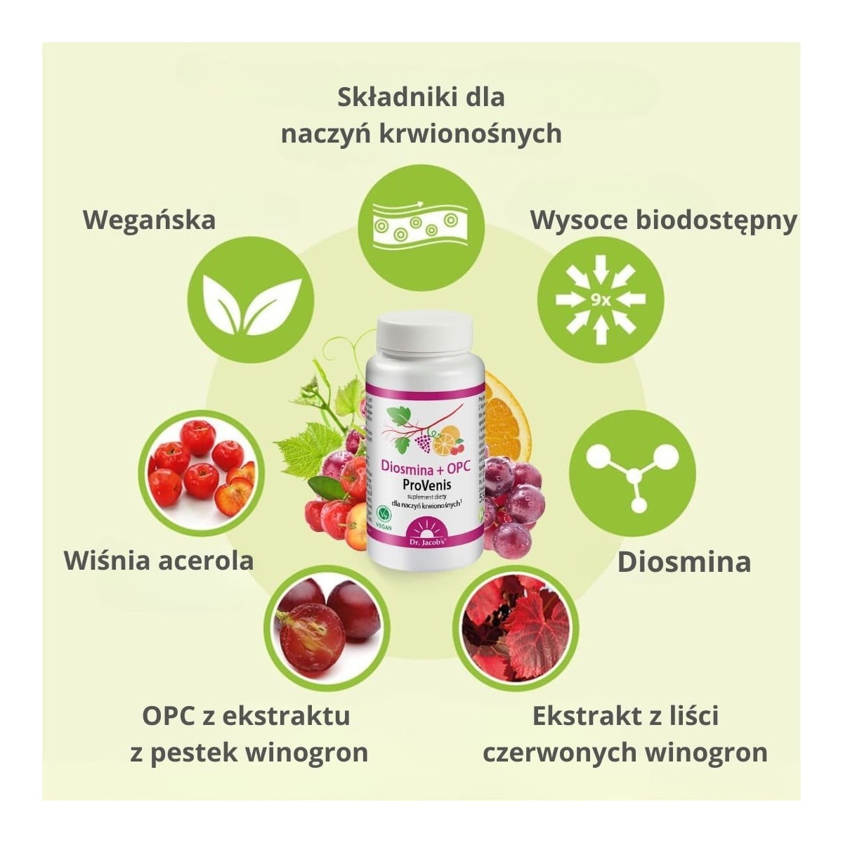 Diosmina + OPC ProVenis - Dr. Jacob's