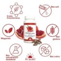 GranaProstan ferment 100 kaps. - Dr. Jacob's