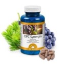 OPC Synergia - Dr. Jacob's
