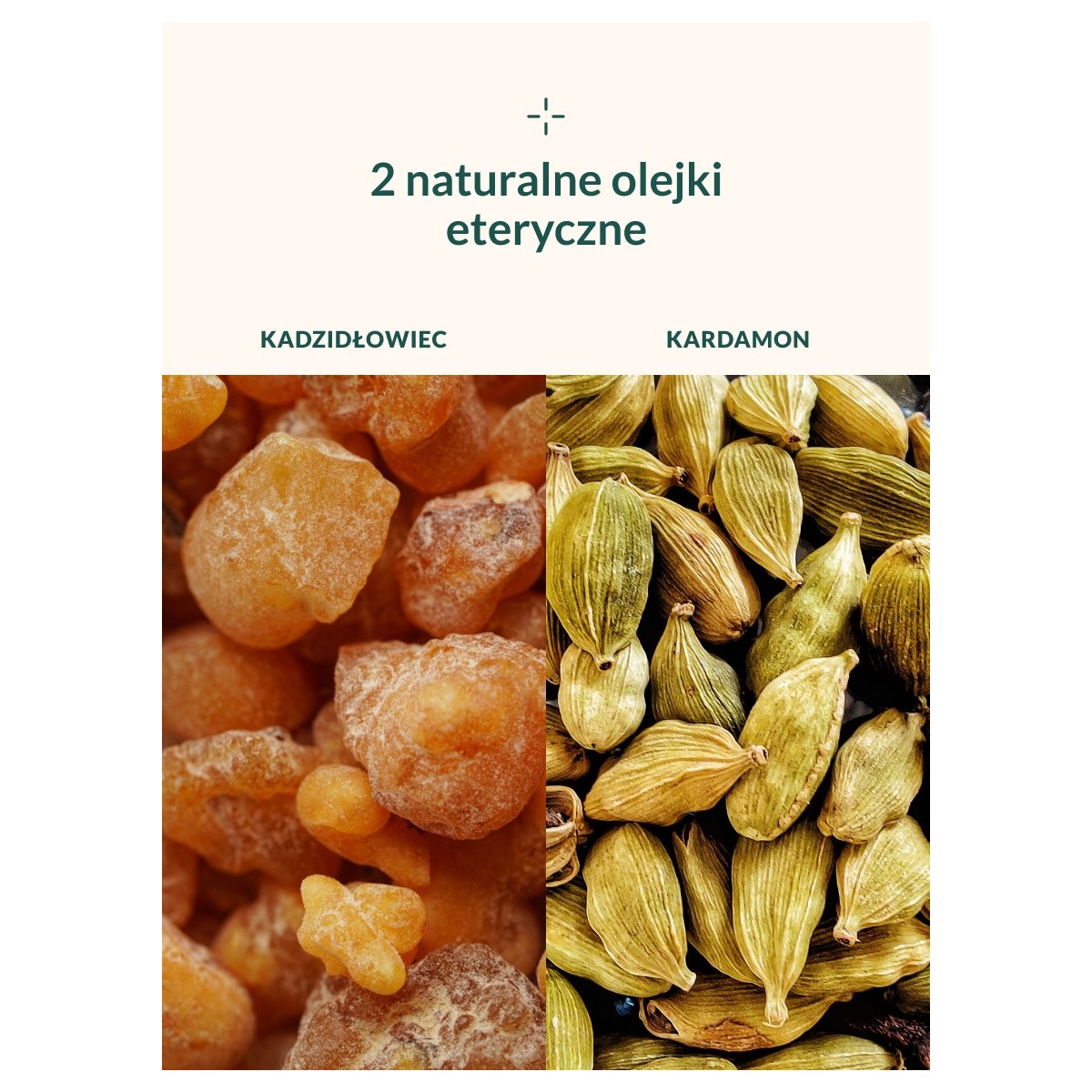 Suchy olejek Sea Paradox - Klaudyna Hebda