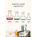 Flower paradox – próbka perfum / Klaudyna Hebda