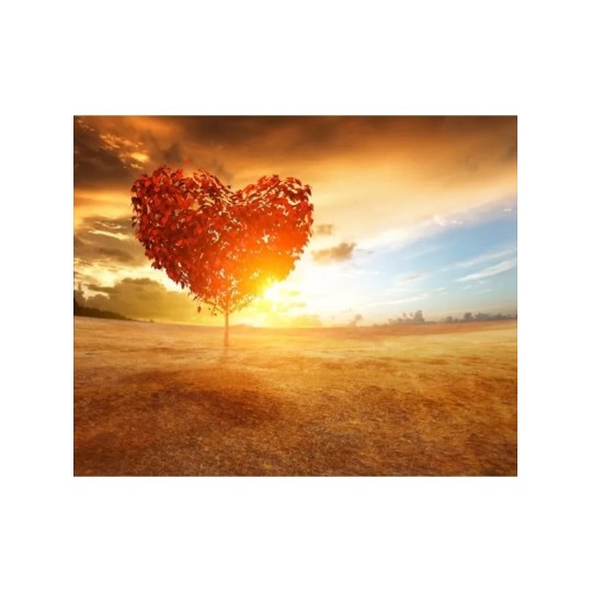 Kenay Ubichinol V100, aktywna forma koenzymu Q-10 100 ...