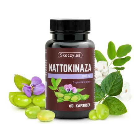 nattokinaza 2000 fu / Skoczylas