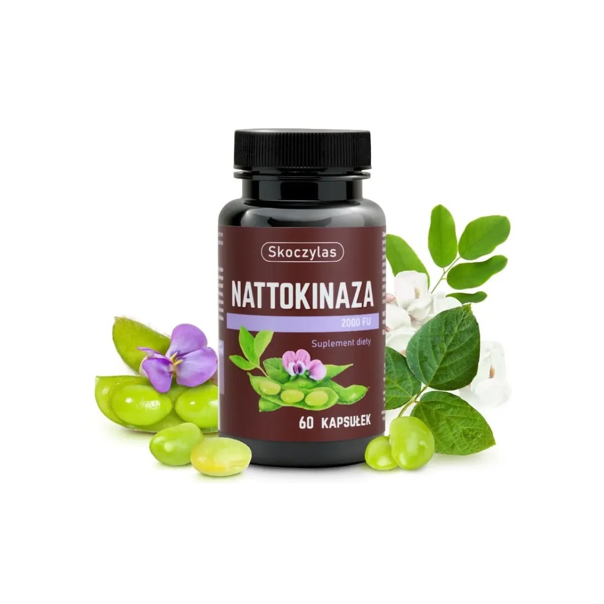 nattokinaza 2000 fu / Skoczylas