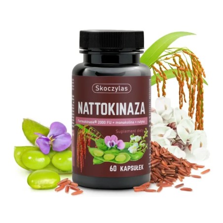 NATTOKINAZA Fermokinase® 2000 FU Skoczylas