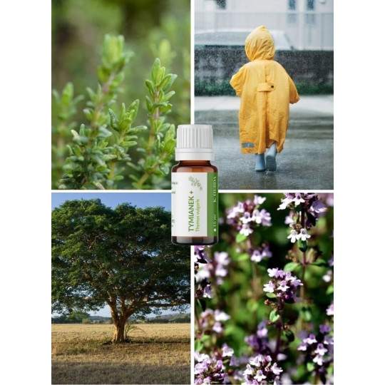 Olejek Tymianek PLUS - Klaudyna Hebda Nature