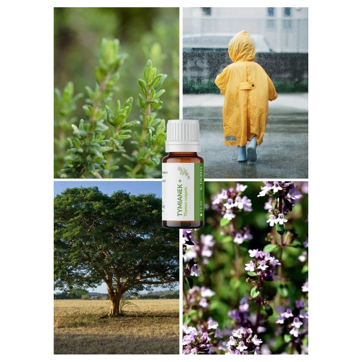 Olejek Tymianek PLUS - Klaudyna Hebda Nature
