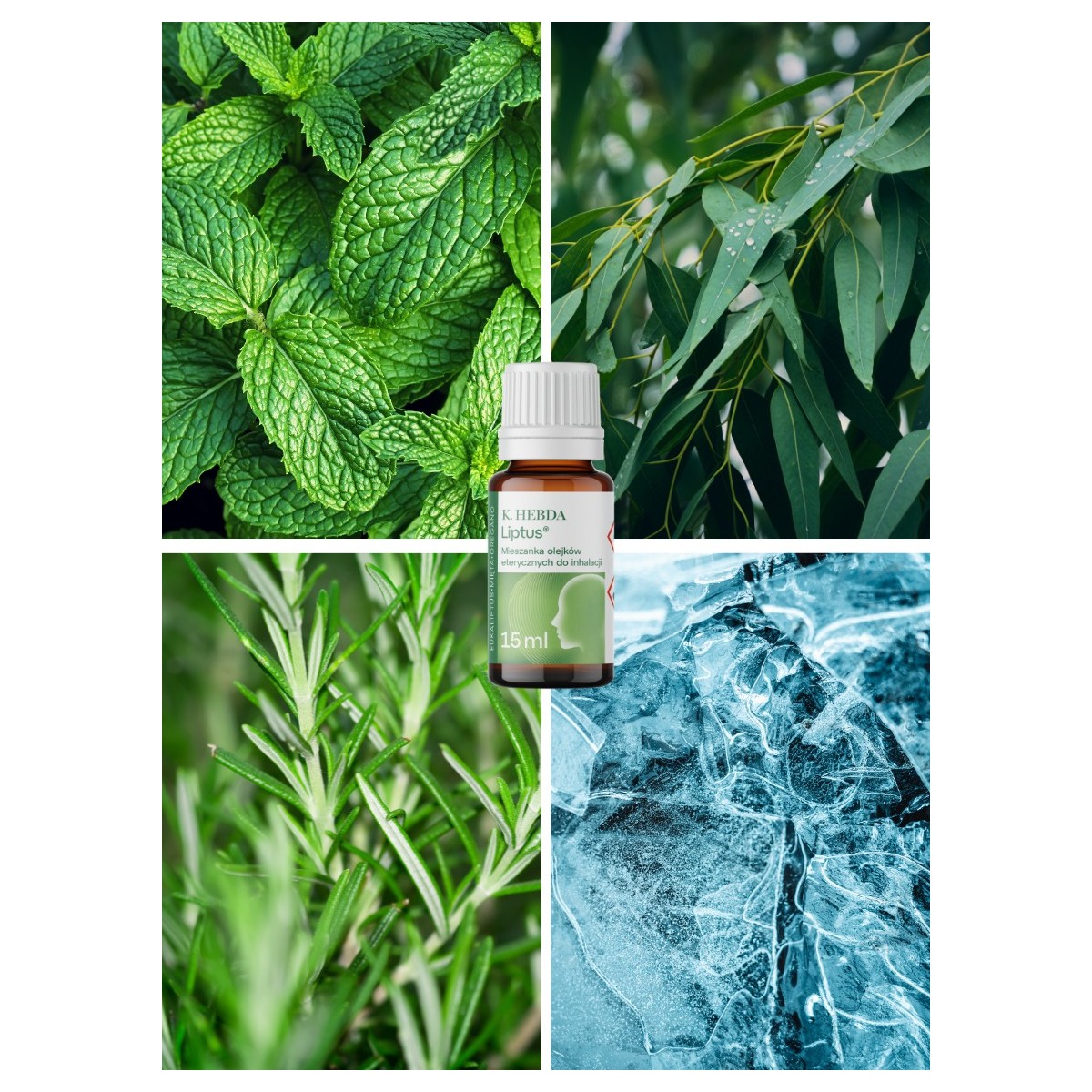 Olejek Liptus® – moc eukaliptusa, mięty i oregano