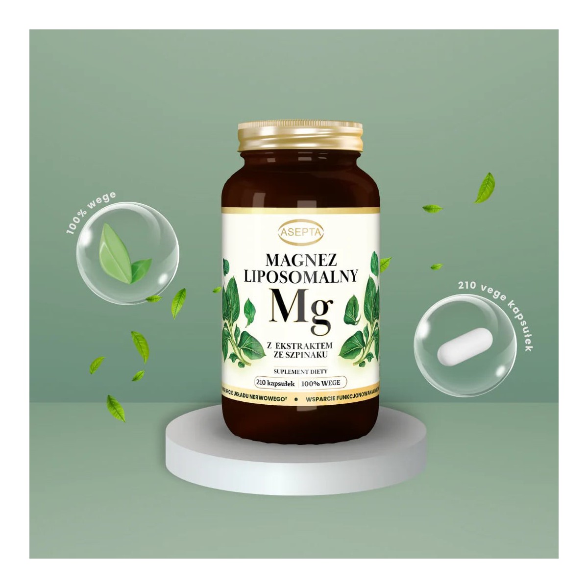 ASEPTA Magnez liposomalny 210 kaps.