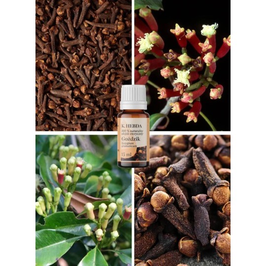 Olejek goździkowy (do domowej apteczki) - Klaudyna Hebda
