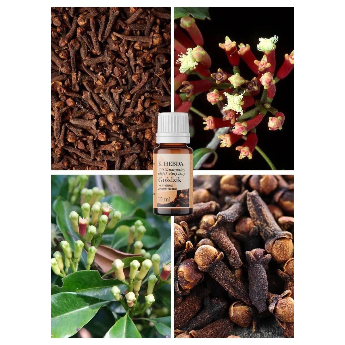 Olejek goździkowy (do domowej apteczki) - Klaudyna Hebda