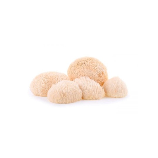 Soplówka jeżowata Lion's Mane (60 kapsułek vege) Kenay