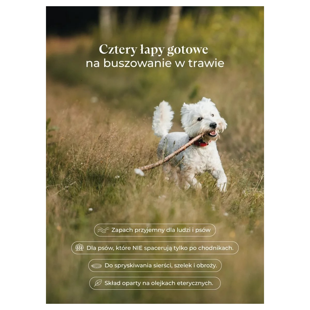 NUTTA® PETS - mieszanka zapachowa dla psów [100 ml]