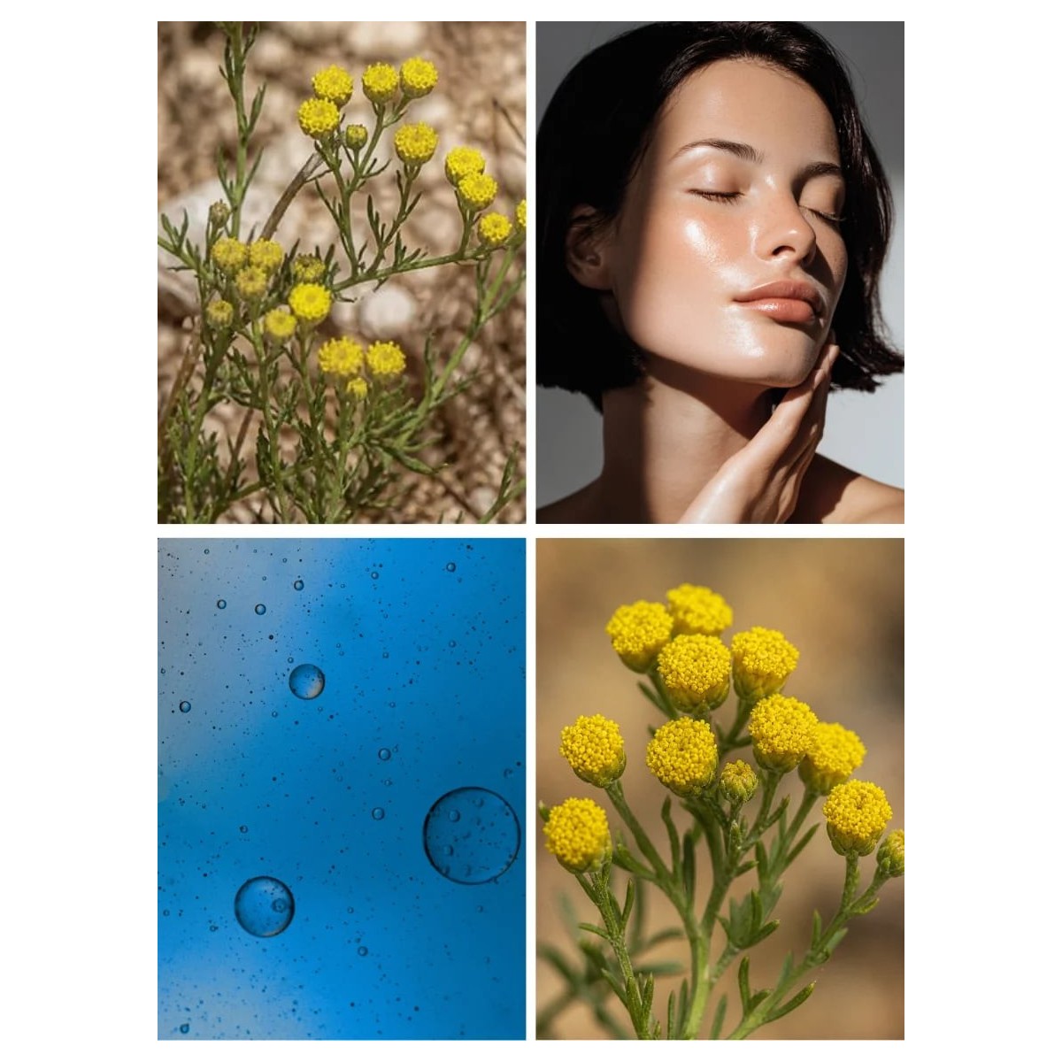 Serum z witaminą C i olejkiem Blue Tansy