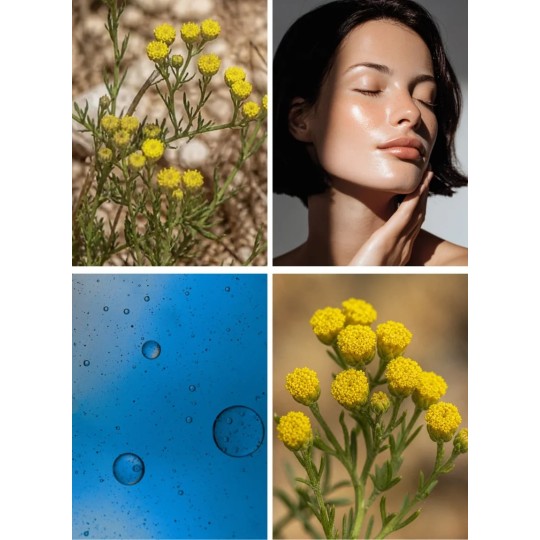 Blue Tansy – roll-on do pielęgnacji i masażu twarzy