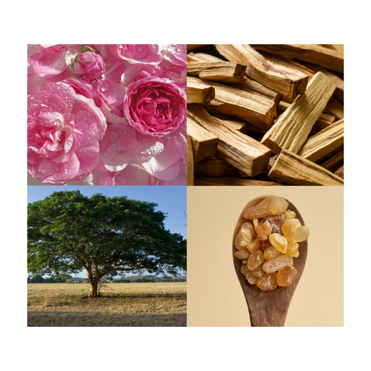Wzmocniony hydrolat różany K. Hebda Rosa (dawniej ...