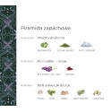 Perfumy Wet Lilac - Klaudyna Hebda Nature
