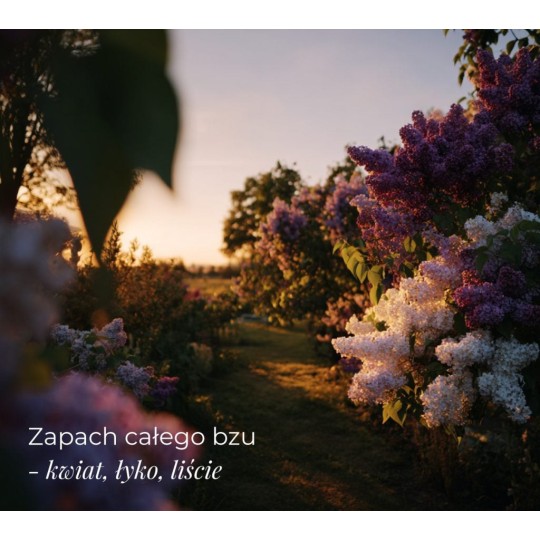 Perfumy Wet Lilac - Klaudyna Hebda Nature