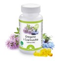 Oregano i Czarnuszka - Dr. Jacob's Poland