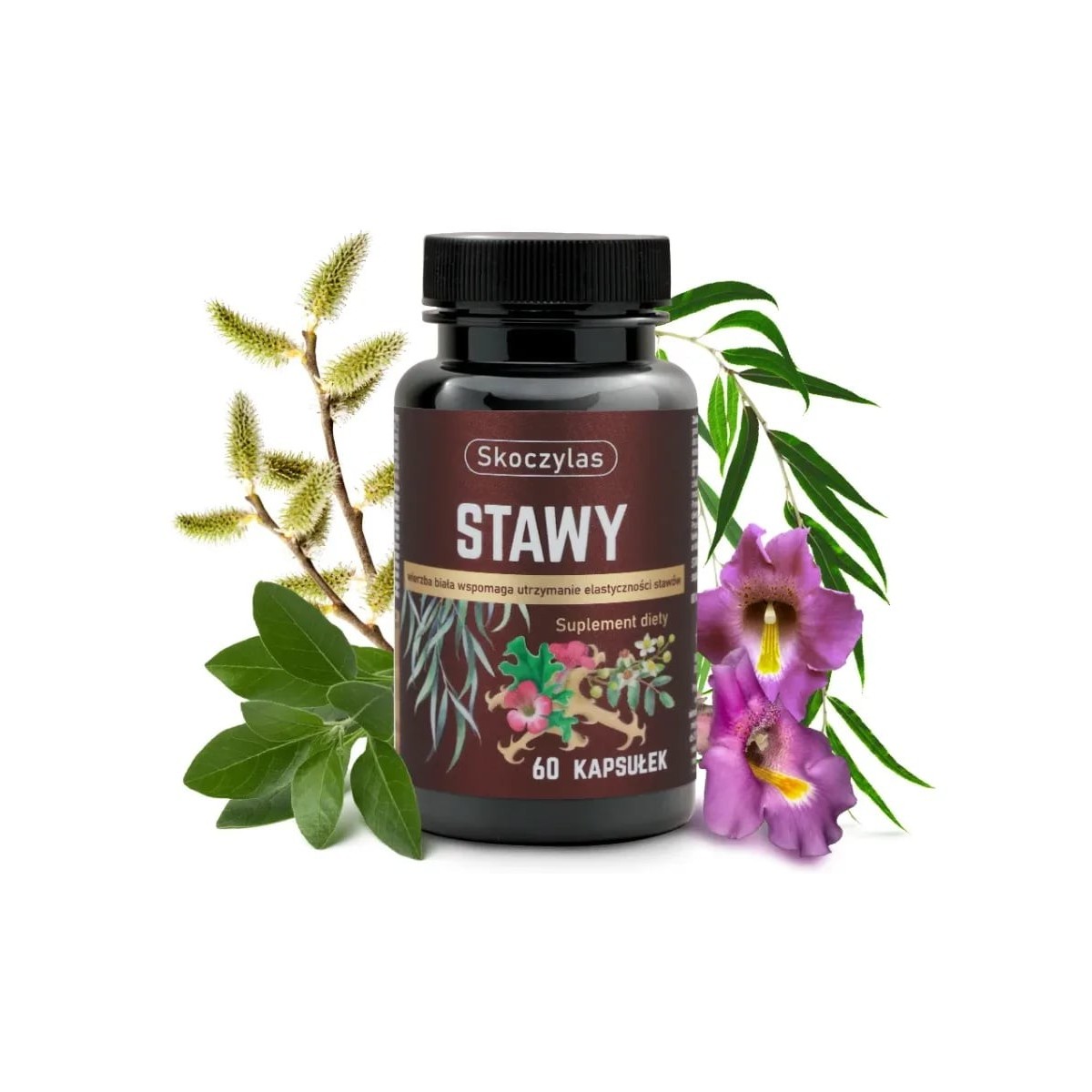 STAWY kadzidłowiec, wierzba, ashwagandha, hakorośl