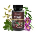 STAWY kadzidłowiec, wierzba, ashwagandha, hakorośl