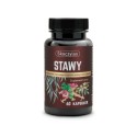 STAWY kadzidłowiec, wierzba, ashwagandha, hakorośl