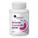 Berberine Sulphate 99% 400 mg x 60 vege caps