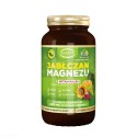 Jabłczan Magnezu z kompleksem warzyw (100 kaps) - Asepta