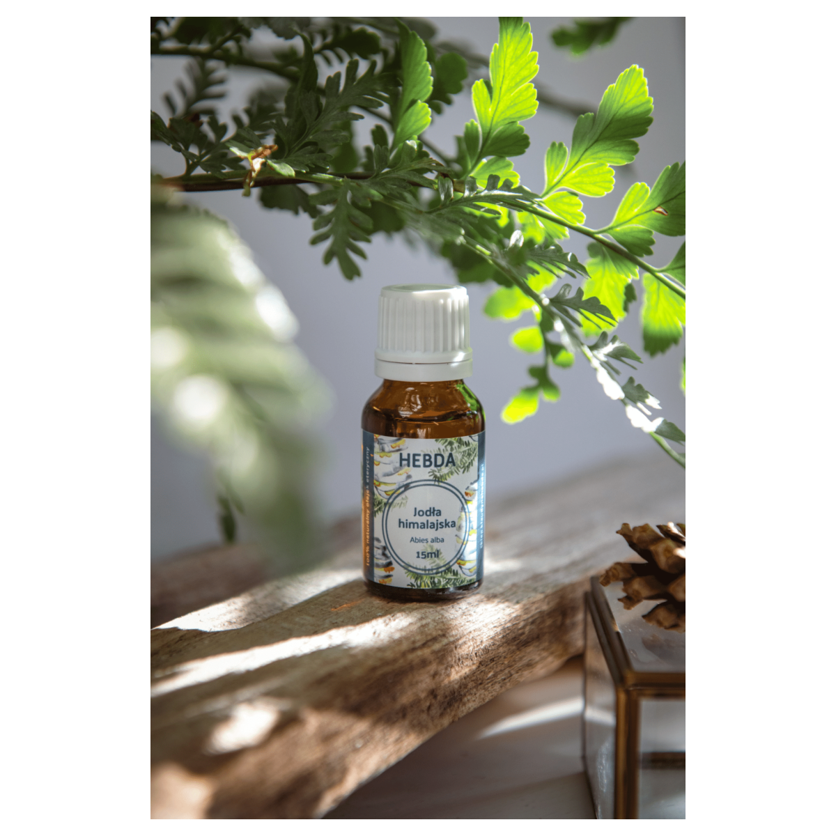 Olejek jodła himalajska