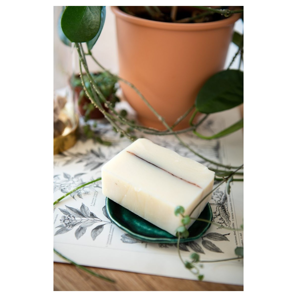 Mydło rozmarynowe (na trudne poranki) - Klaudyna Hebda