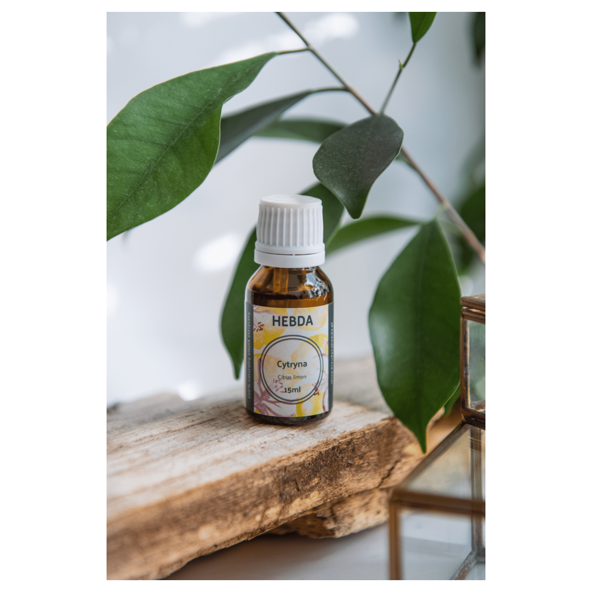 Olejek cytrynowy (do pierwszej pomocy) - Klaudyna Hebda