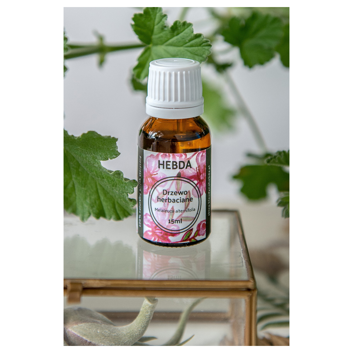 Olejek z drzewa herbacianego (na problemy skórne) [15 ml] - Hebda