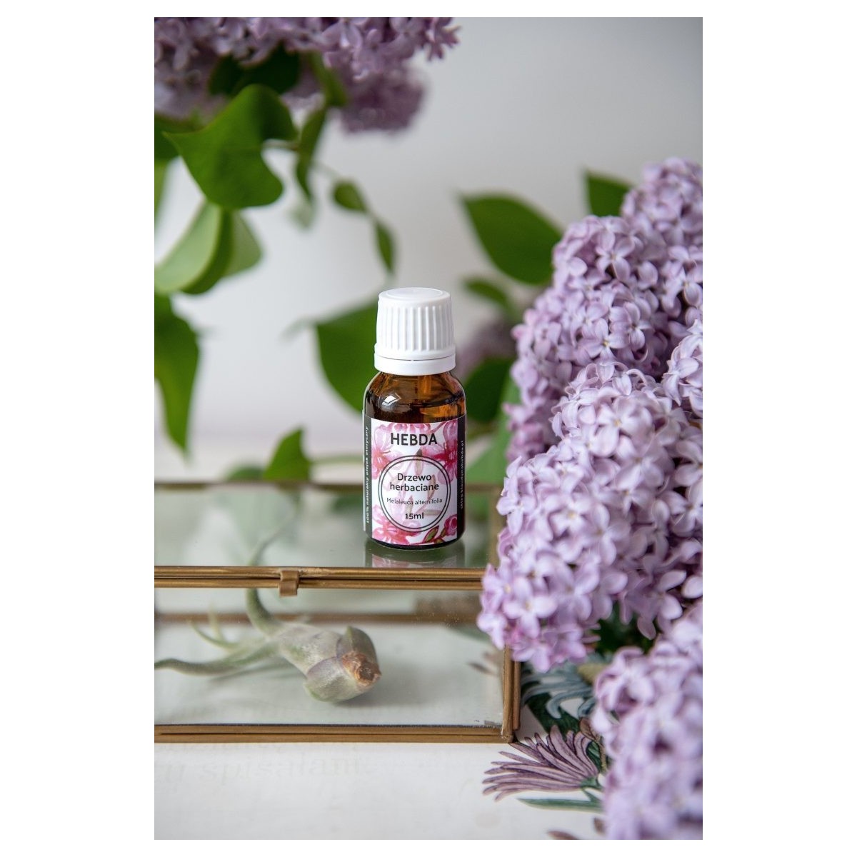 Olejek z drzewa herbacianego (na problemy skórne) [15 ml] - Hebda